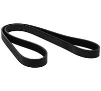 Dayco Courroie trapézoïdale à nervures 6PK1195 Poly-V