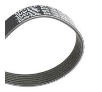 DAYCO 6PK1200 Courroie Poly-V