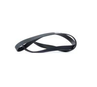 DAYCO 6PK1310 Courroie Poly-V