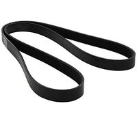 DAYCO 6PK1437 Courroie Accessoire, Noir