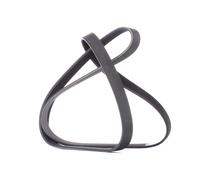 DAYCO 6PK1520 Courroie Poly-V