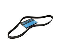 Dayco 6PK1525 Courroie Striée