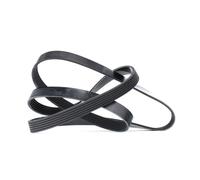 DAYCO 6PK1565 Courroie Poly-V