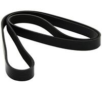 DAYCO 6PK1635 Courroie Accessoire