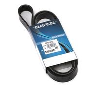 DAYCO 6PK1670 Courroie Poly-V
