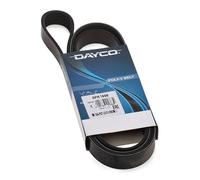 DAYCO 6PK1698 Courroie Poly-V