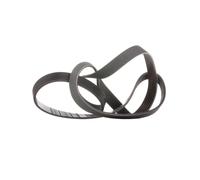 DAYCO 6PK1705 Courroie Poly-V
