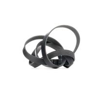 DAYCO 6PK1750 Courroie Poly-V