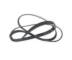 DAYCO 6PK1880 Courroie Poly-V