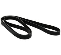 Courroie trapézoïdale à nervures DAYCO 6PK2020