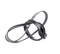 DAYCO 6PK2120 Courroie Poly-V