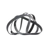 DAYCO 6PK2263 Courroie Poly-V