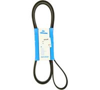 Dayco 6PK2450 Courroie Striée