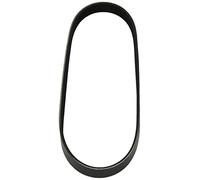 Dayco Courroie trapézoïdale à nervures 6PK810