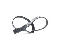 DAYCO 6PK862 Courroie Poly-V