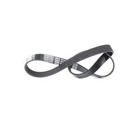 Dayco Courroie trapézoïdale à nervures 6PK923