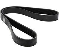 DAYCO Courroie d'accessoires 7PK1127 – Poly-V à nervures trapézoïdales