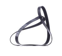 DAYCO 7PK1675 Courroie Poly-V