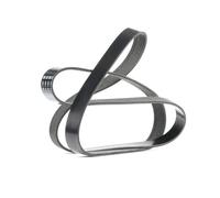 DAYCO 7PK1687S Courroie Poly-V