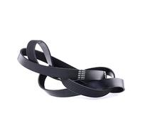 DAYCO 7PK1975 Courroie Accessoire