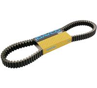 Courroie de transmission DAYCO 8188K