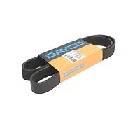 Dayco 8PK1202HD Courroie Striée HD