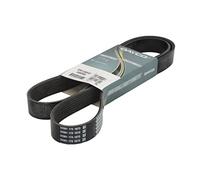 Dayco 8PK1500HD Courroie Striée HD