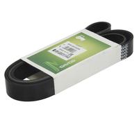 DAYCO 8PK1541AGRI Courroie Poly-V