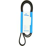 Dayco 8PK1725HD Courroie Striée HD