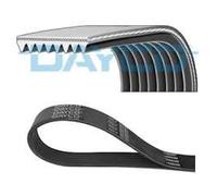 Dayco Courroie Poly‑V 8PK2285
