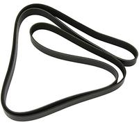 Dayco 8PK2512 Courroie Striée