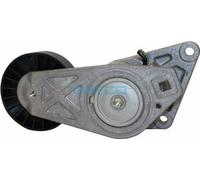 Dayco APV1001 Galet Courroie PK | Compatible avec: CITROËN BERLINGO / BERLINGO FIRST Großraumlimousine (MF_, GJK_, GFK_