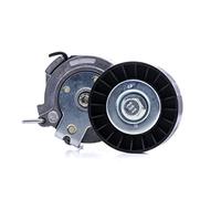 Dayco APV1002 Galet Courroie PK