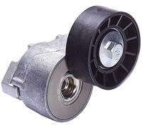 Dayco APV1075 Galet Courroie PK