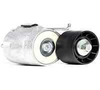 Dayco APV1078 Galet Courroie PK