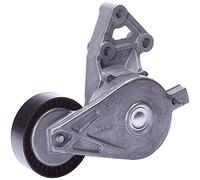 Dayco APV2315 Galet Courroie PK | Compatible avec: AUDI A3, FORD GALAXY I, GALAXY MK I VAN, SEAT ALHAMBRA, ALHAMBRA VAN, LEON, TOLEDO II, SKODA OCTAVIA I