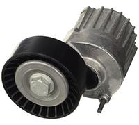 Dayco APV2511 Galet Courroie PK