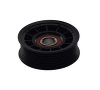 DAYCO APV2598 Galet enrouleur de courroie d'accessoire