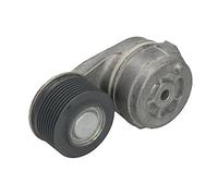 Dayco Galet tendeur de courroie d'accessoire APV2704 pour courroie trapézoïdale à nervures PK