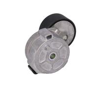 DAYCO APV3624 Galet tendeur de courroie d'accessoire
