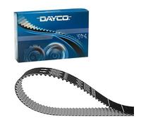 Dayco Courroie crantée 941121