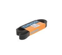 Dayco Courroie Poly-V 8PK1570HD 1570,0 mm