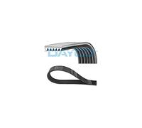 Dayco Courroie Poly-V 6PK798