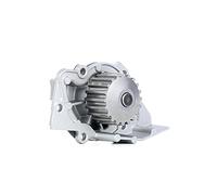 Dayco Pompe à eau DP042