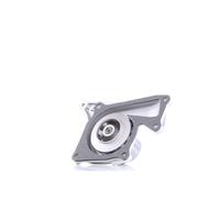 DAYCO DP200 Pompe à eau