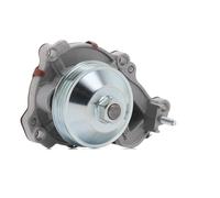 DAYCO DP2174 Pompe à eau