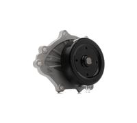 DAYCO DP278 Pompe à eau