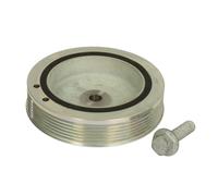Dayco Poulie damper DPV1032 (vilebrequin)