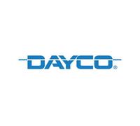 Dayco DPV1141 Poulie Damper