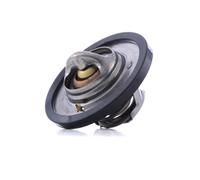 DAYCO DT1062V Thermostat d'eau